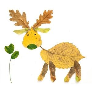 Meet your Posher, Cathy